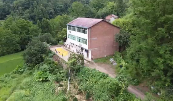 《服务的实力》-1xBET农机收割机微视频