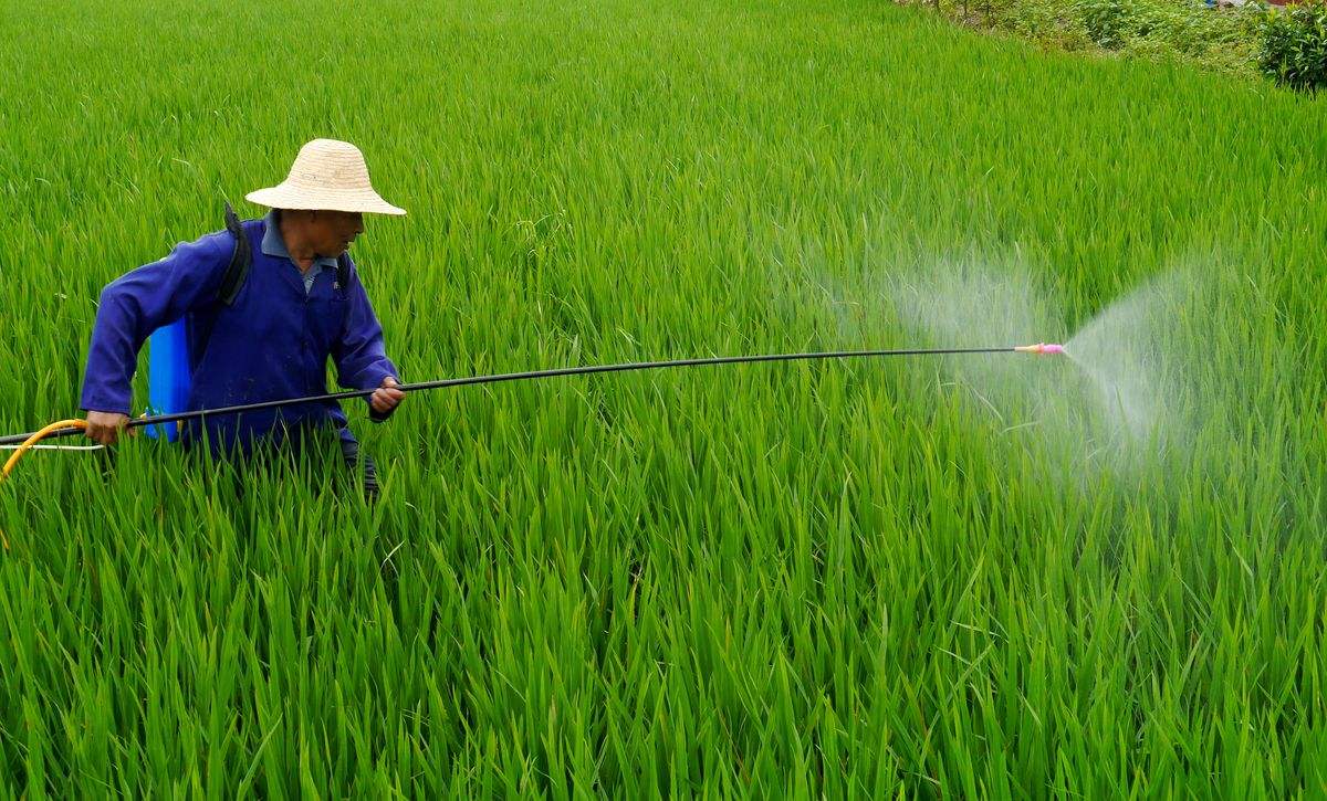 1xBET植保无人机为现代农业助力